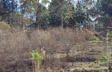 Imagem 4: Área ZUP 1, à venda com 14400 metros quadrados, próximo a rodovia índio Tibiriçá