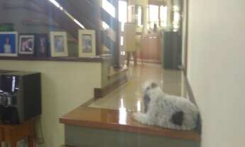 Imagem 2: Casa em Condomínio para Venda no bairro CASA COM BELA VISTA, ESPAÇOSA, PÉ DIREITO DUPLO 3