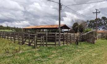 Imagem 6: Fazenda em Gália