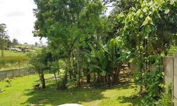 Imagem 6: Rural de 1540 metros quadrados no bairro Ipelândia com 3 quartos