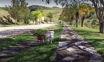 Imagem 5: Terreno à venda, 6126 m² por R$ 800.000,00 - Alto da Ponte - São José dos Campos/SP