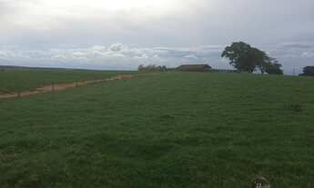Imagem 4: Fazenda 900 Alqueires, Rica em Água com Açude, 700 Alqueires em Plantio, 200 Alqueires em