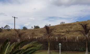 Imagem 3: Terreno em Jarinu SP 20.000m² Campo Largo / Doc Ok. / Excelente Topografia