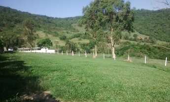 Imagem 3: Fazenda para venda com 75 alqueires em Zona Rural - Ipeúna - SP