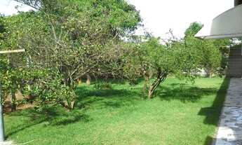 Imagem 4: Fazenda/Sítio/Chácara para venda tem 256 metros quadrados com 4 quartos