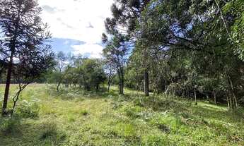 Imagem 6: Terreno Rural Urubici