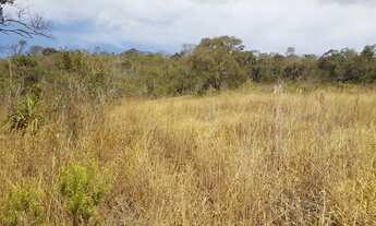 Imagem 7: Terreno em Jarinu SP 20.000m² Campo Largo / Doc Ok. / Excelente Topografia