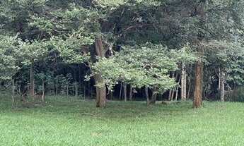 Imagem 2: Lote com 1.500m2 condomínio fechado, arborizado, vista definitiva