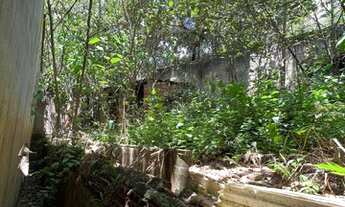 Imagem 3: Casa simples à venda em Terra Preta