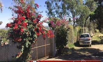 Imagem 5: Casa com 2 quartos, 374m2, à venda - Parque Florianópolis