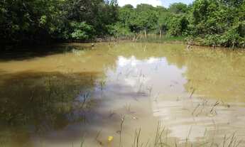 Imagem 4: Sítio de 9 hectares (90.000 m²) em Curvelo/MG