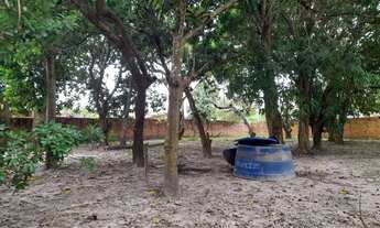 Imagem 3: Fazenda/Sítio/Chácara para venda, na MA 204, tem 1936 m² em Maioba - Paço do Lumiar - MA