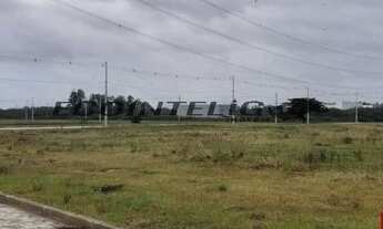 Imagem 3: CANOAS - Padrão - Industrial