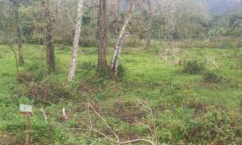 Imagem 4: Terreno à venda, 3200 m² por R$ 150.000,00 - Parque Serra Mar - Peruíbe/SP