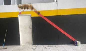 Imagem 6: Salão Comercial para Locação em Diadema, Vila Nogueira, 7 banheiros, 15 vagas