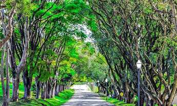 Imagem 6: Terreno próximo à entrada do condomínio à venda na Fazenda Serrazul I