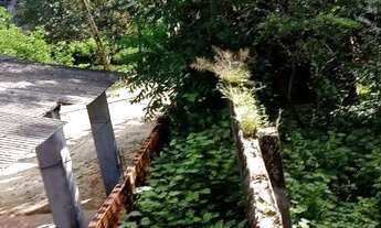 Imagem 2: Terreno em algodoal - Maracanã - Pa