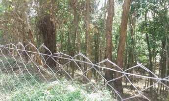 Imagem 3: Terreno à venda, 3016 m² por R$ 2.250.000,00 - Granja Viana - Cotia/SP