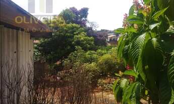 Imagem 2: Venda - Terreno - Vila Dainese - Americana - SP