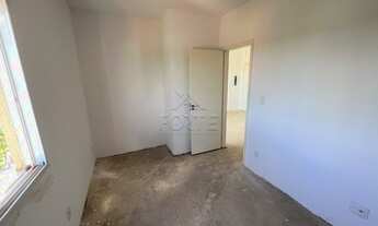 Imagem 7: PIRACICABA - Padrão - Campestre