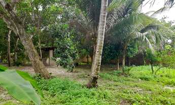 Imagem 2: Fazenda/Sítio/Chácara para venda, na MA 204, tem 1936 m² em Maioba - Paço do Lumiar - MA