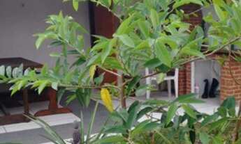 Imagem 5: Casa de praia para venda de 180 m² com 02 quartos em Peruíbe - SP