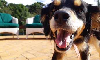 Imagem 2: Casa à venda no Capivari em Campos do Jordão