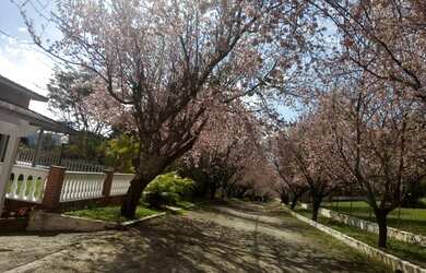 Imagem 6: Linda casa de campo em condomínio de 500m² - Ibiúna - SP