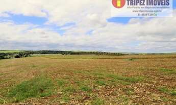 Imagem 3: Sitio na Região de Tiete / SP. com 23 alqs (55,66 hect) totalmente plana