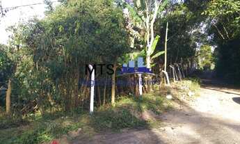 Imagem 4: Terreno com 2.500m² - Chácara Santo Amaro (Colônia) São Paulo/SP