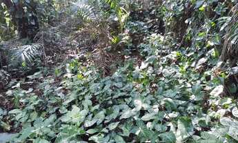 Imagem 4: Terreno à venda, 367 m² por R$ 180.000,00 - Transurb - Itapevi/SP