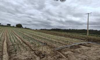 Imagem 2: Fazenda/Sítio/Chácara para venda com 48000 metros quadrados em Bairro dos Leites - Piedade