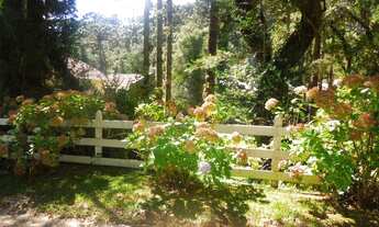 Imagem 4: Terreno para Venda em Campos do Jordão, Jardim Embaixador