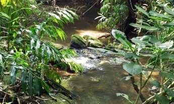 Imagem 7: Fazenda/Sítio/Chácara para venda com 64000 m² Serra da Cantareira R$ 5.000.000,00