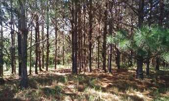 Imagem 7: Vendo área frente para Raposo Tavares Itapetininga SP