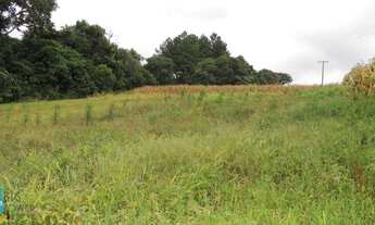 Imagem 5: TERRENO CONTENDA - TE398