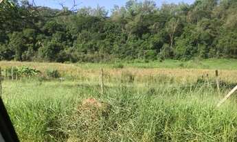 Imagem: Lote/Terreno para venda tem 350 metros quadrados