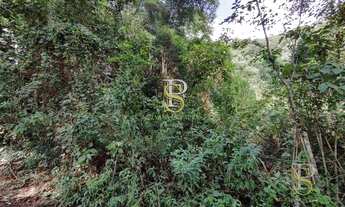 Imagem 7: Terreno à venda - 5000m² - com Escritura - Mairiporã/SP