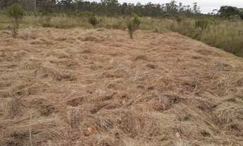 Imagem: Lote/Terreno para venda possui 1050 metros