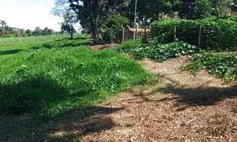 Imagem 5: Sitio em cajuru 2 alqueires 650.000.00