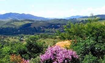 Imagem: Lote/Terreno para venda possui 2000 metros