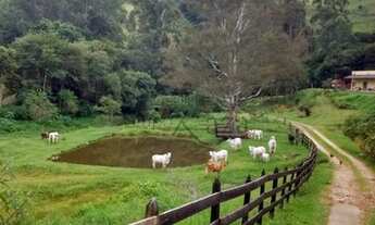 Imagem 5: Fazenda/Sítio/Chácara para venda com 86000 metros quadrados com 4 quartos