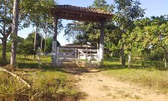 Imagem 5: Vendo Chácara com venda por R$180.000