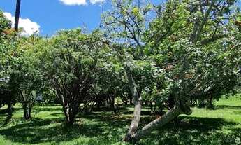 Imagem 4: Vendo Linda chácara setor Casa Grande - Gama - DF