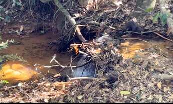 Imagem 2: Fazenda 10 hec em Paracatu, escriturada