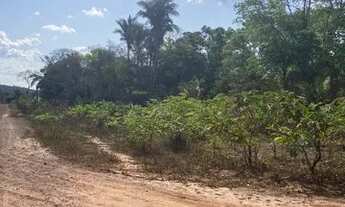 Imagem 5: Vendo 1 Hectare em Altos