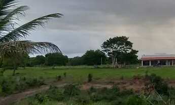Imagem 2: Chácaras próximas á praia . Prado. Bahia