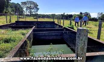 Imagem 7: Fazenda 25,5 alqueires (Corumbá de Goiás) com curral