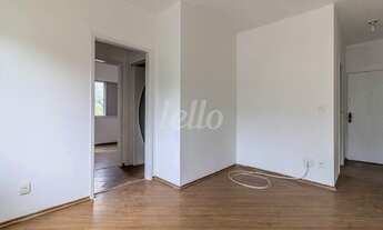 Imagem 4: São Paulo - Apartamento Padrão - Jabaquara