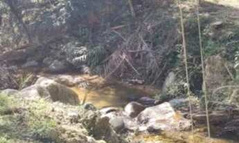 Imagem 3: Vendo excelente sítio